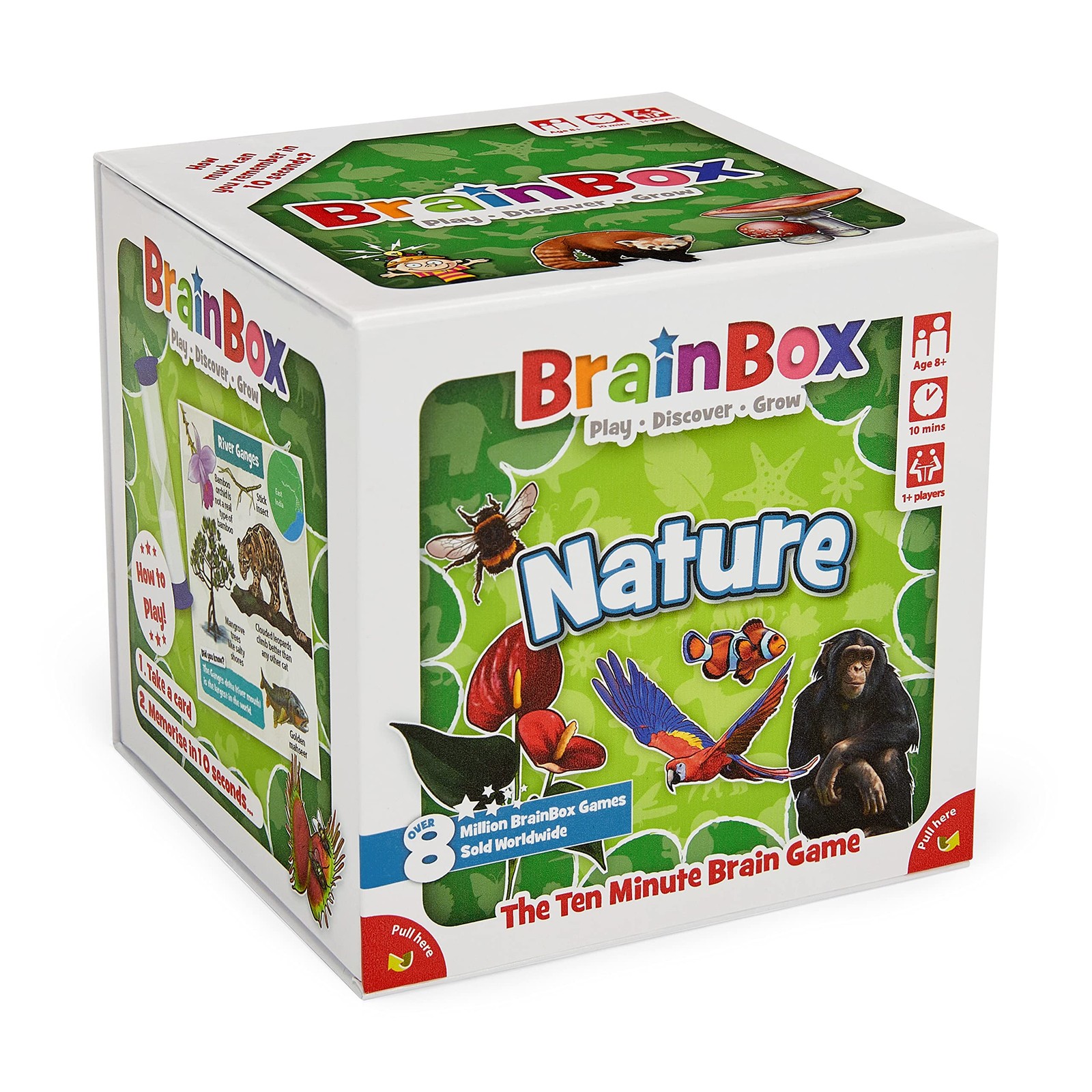 BrainBox Nature (обновление 2022 г.)