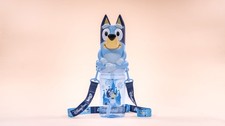 Disney Parks Bluey Sipper Presale 3/18