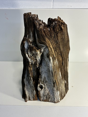Large Natural Florida Driftwood Stump Hollow Log Decor Aquascape Terrarium 17 lb