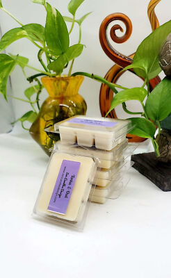 Soy Wax Melts-Scented Wax Cubes-Pick your Fragrance