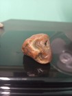 Lake Superior Agate Minnesota Rough Lapidary Gemstone 1.41 oz — photo 1