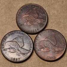 1856/1857/1858 Flying Eagle Very Good VG As shown in the figure