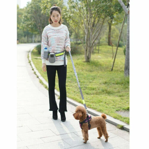 Laisse mains libres en tissu pour chien