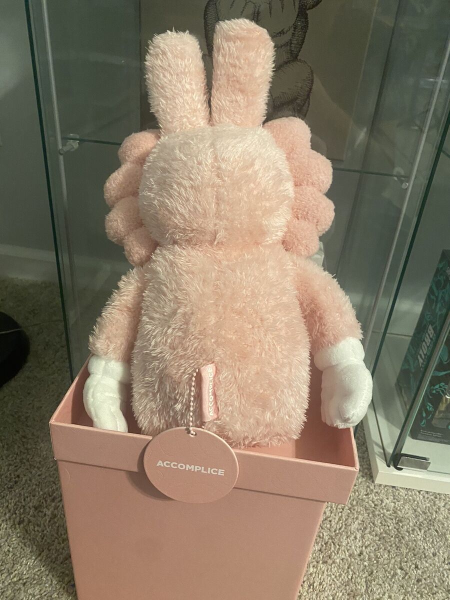 Kaws Accomplice Plush Ltd 2000 ! In Hand Ships Fast! | eBay Kaws Accomplice Plush Ltd 2000 ! In Hand Ships Fast! | eBay