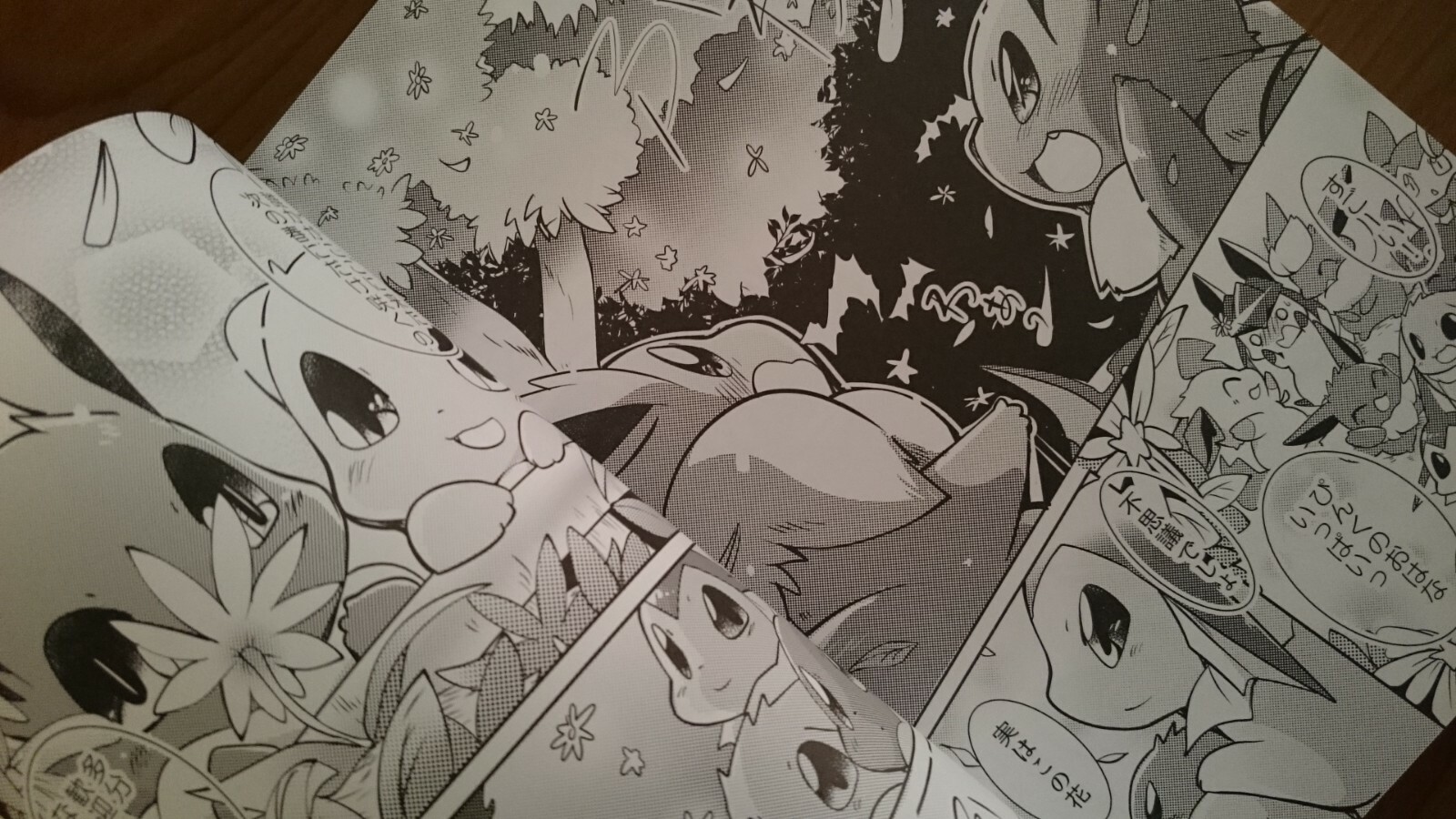 Bild 12 von 12