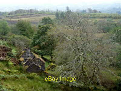 Photo 12x8 Carr dwelling at Darn, Burn's Mountain Limestone Brook Bridge T c2011