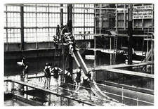 c.1898 SAN FRANCISCO SUTRO BATHS BATHERS on SLIDE~NEW 1980 HISTORICAL POSTCARD