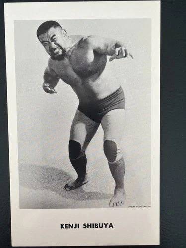 Wrestling: Original Vintage Bob Pierce Photo Print of Kenji Shibuya