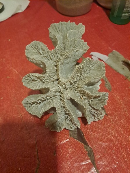 Figura Coral Blanco Autentico