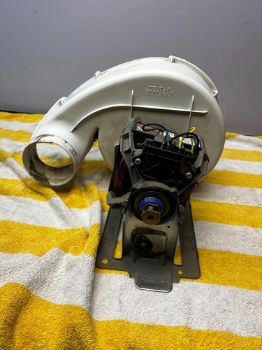 W10410997 Maytag Trocknermotor kostenloser Versand - Bild 2 von 4