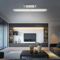 Deckenlampe Deckenleuchte Schlafzimmerlampe Panel 1 Flammig Silber Led L 60 Cm