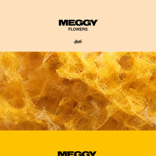 Meggy Flowers (Vinyl LP) 12" EP