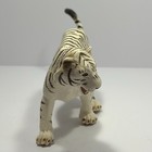 Picture 4 of 9