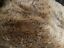 thumbnail 7 - Assorted Faux Fur Fabric Pieces /10&#034;x10&#034; Square