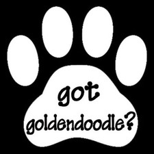 Got Goldendoodle Dog Animal Pet Doggie Paw Print Vinyl Decal Sticker White 5"x5"
