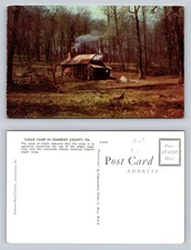 Sugar Camp Somerset County PA Postcard Vintage Maple Syrup Cabin Scene