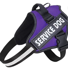 Service Dog Harness Purple Large (Includes Patches)