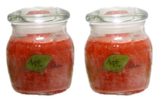 Scented Jar Candles Fresh Apple Crisp Fragrance (2) 9oz Jars Nature's Garden