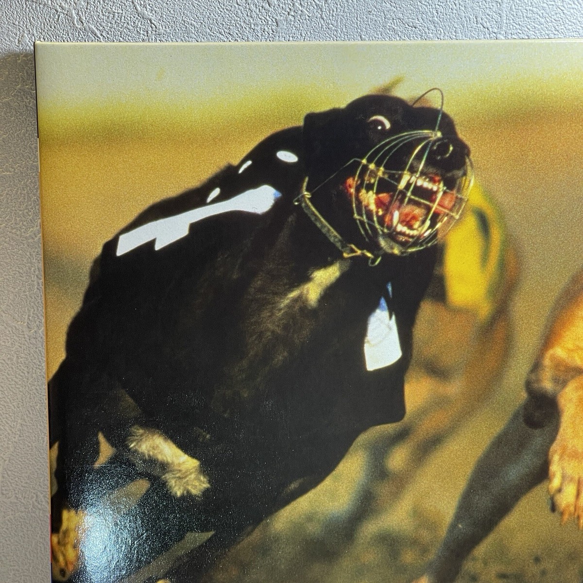 英LP Blur Parklife FOODLP10,724382919414 FOOD /00260 Blur – Parklife/2LP 2015 Food FOODLPX10 UK Reissue NM/NM