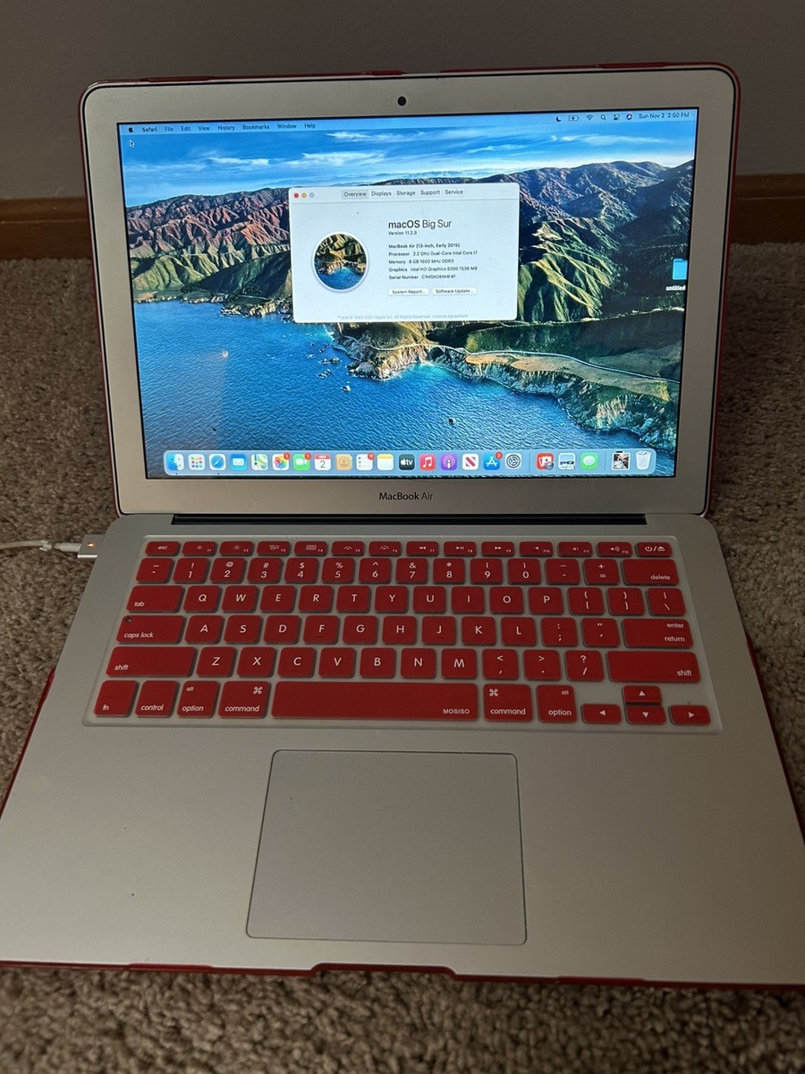 Apple 13