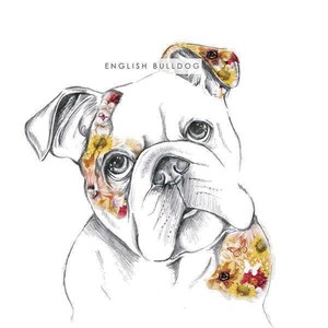 Inglese Britannico Bulldog Disegnata A Mano Arte Vuoto Compleanno Biglietto D Auguri Cane Amanti Ebay