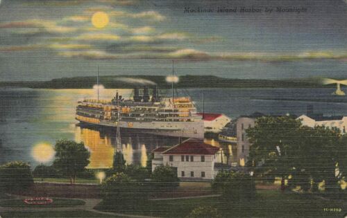 Mackinac Island Harbor By Moonlight Postcard