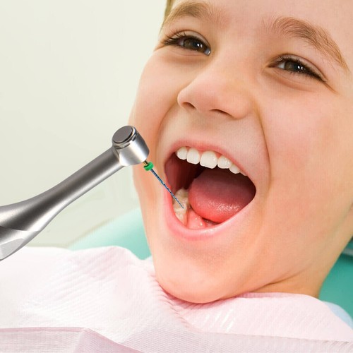 Woodpecker Style dental Cordless Endo Motor with Built-in Apex Locator 360° - Picture 21 of 24