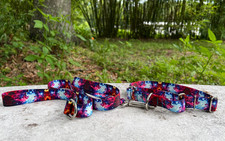 1 inch wide Galaxy Martingale Dog Collar and Leash Set - Slip On Martingale USA