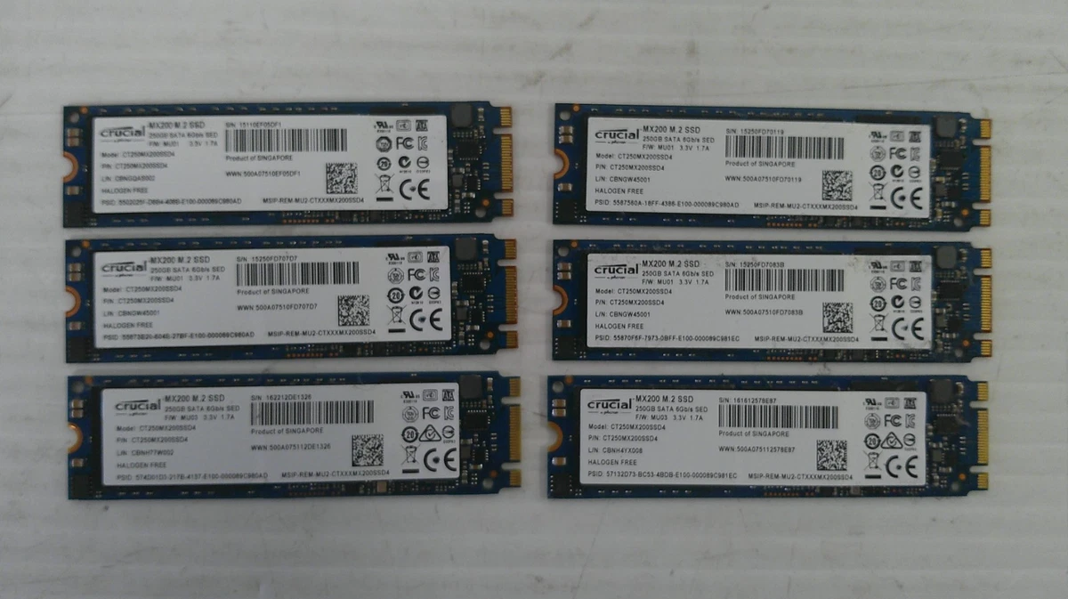 Crucial 250GB Solid State Drives for sale | eBay