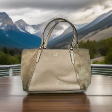 Coach Beige Tote Bag Zip Top Double Handles Gold Hardware Solid Rectangle