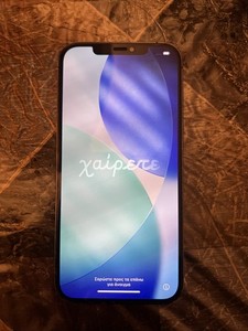 iPhone 12 Pro Max 128GB entsperrt - funktioniert einwandfrei - kleiner Kamera Linsenriss