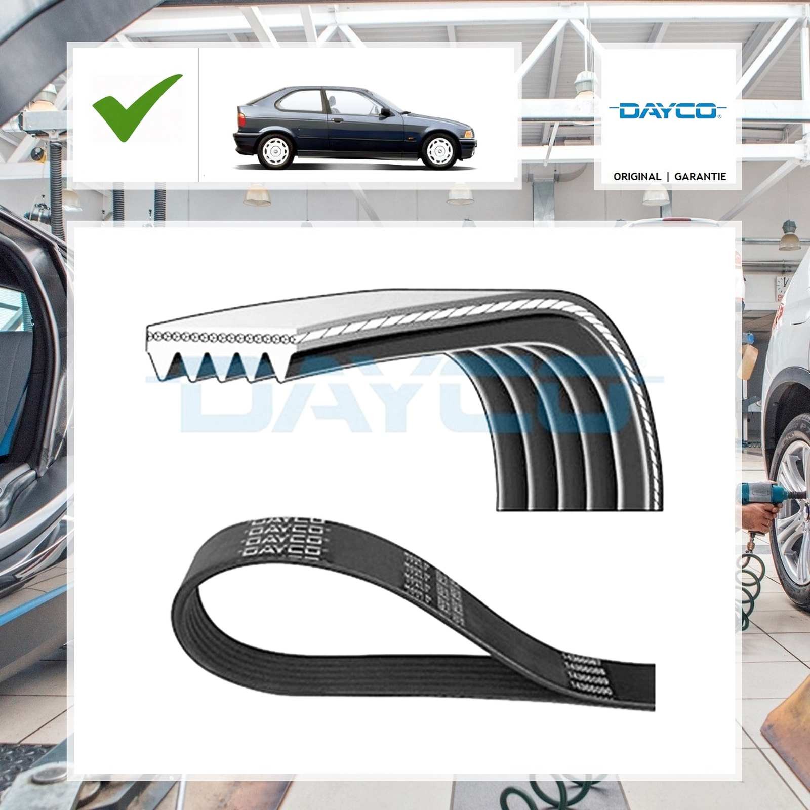 Dayco Keilrippenriemen BMW 3 Compact (E36) 318 tds