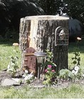 Bild 3 von 6