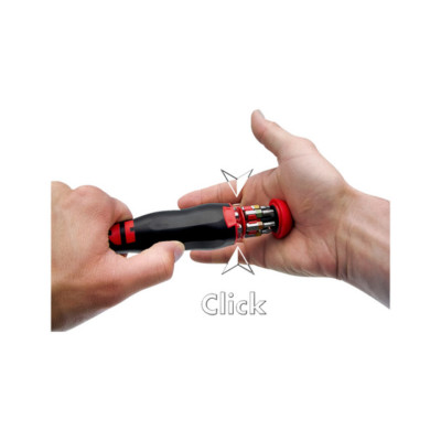 Cacciavite Con Serbatoio Inserti Multiuso Set 13pz - W&Uuml;RTH