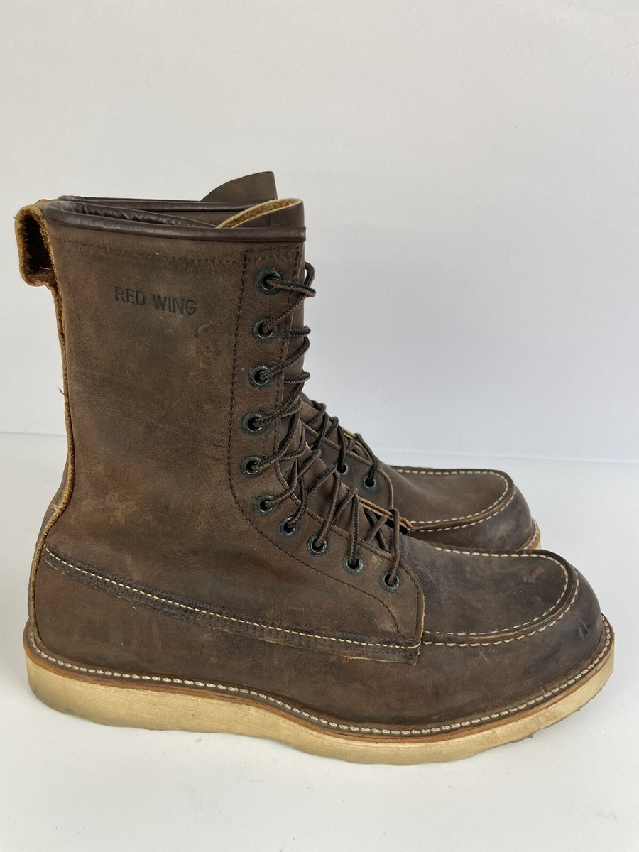Red wing Irish setter 879