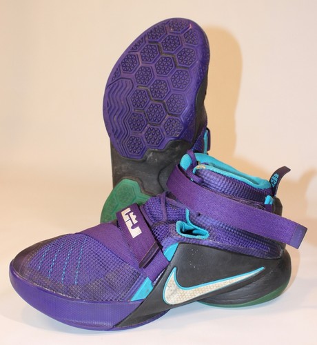 lebron james charlotte hornets shoes