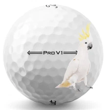 Titleist Pro V1 2022 White 50 5A Pro V1 AAAAA 2022 Used Washed Only Titleist 50