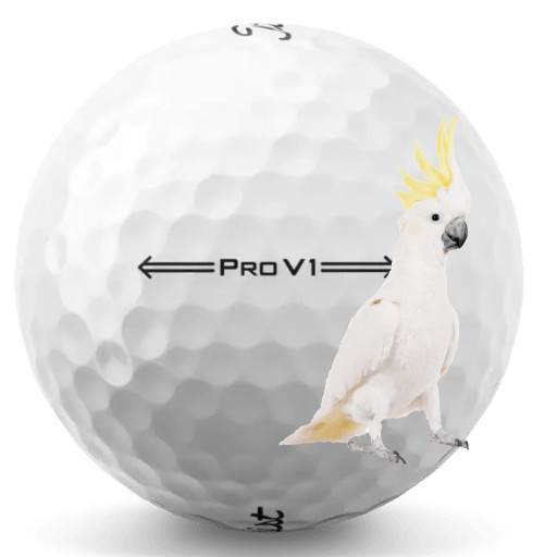 Titleist Pro V1 2022 White 50 5A Pro V1 AAAAA 2022 Used Washed Only Titleist 50