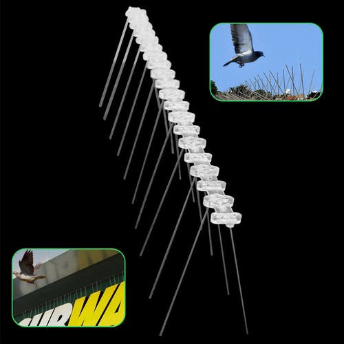 10x ANTI BIRD SPIKES 5 METRE Stainless Steel Polycarbonate Base Pigeon Deterrent - Picture 9 of 12