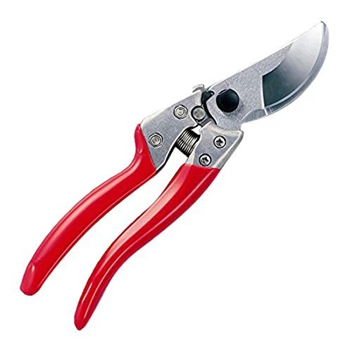 Garden shears online online