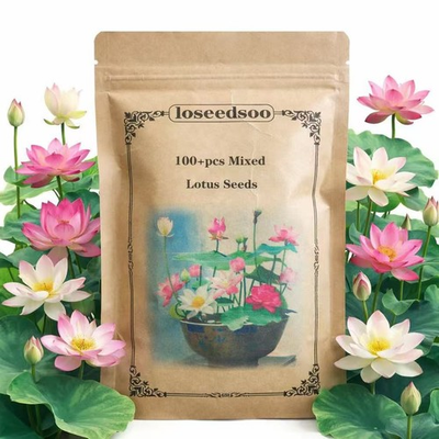 #ad #ad 100 Mixed Lotus Seeds for Planting – Aquatic Lotus Flower Seeds for Pond $12.99