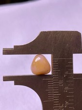 3.4ct Natural Conch Pearl with baroque shape and Saturn color