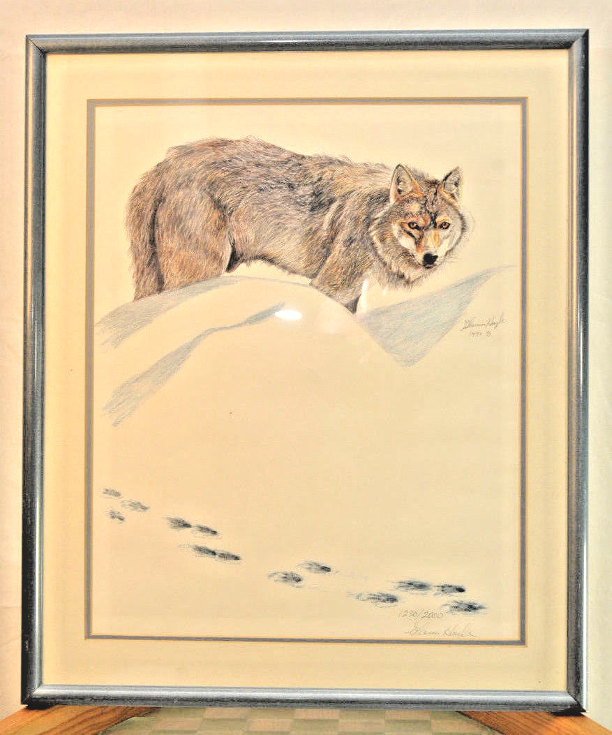 Wolf in Snow by Glenn Hoyle Signed & Numbered, Matted & Framed Under Glass