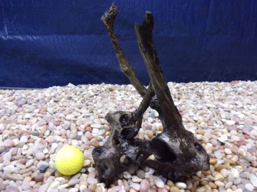 Small Driftwood, Aquarium, Freshwater, Terrarium, Reptile