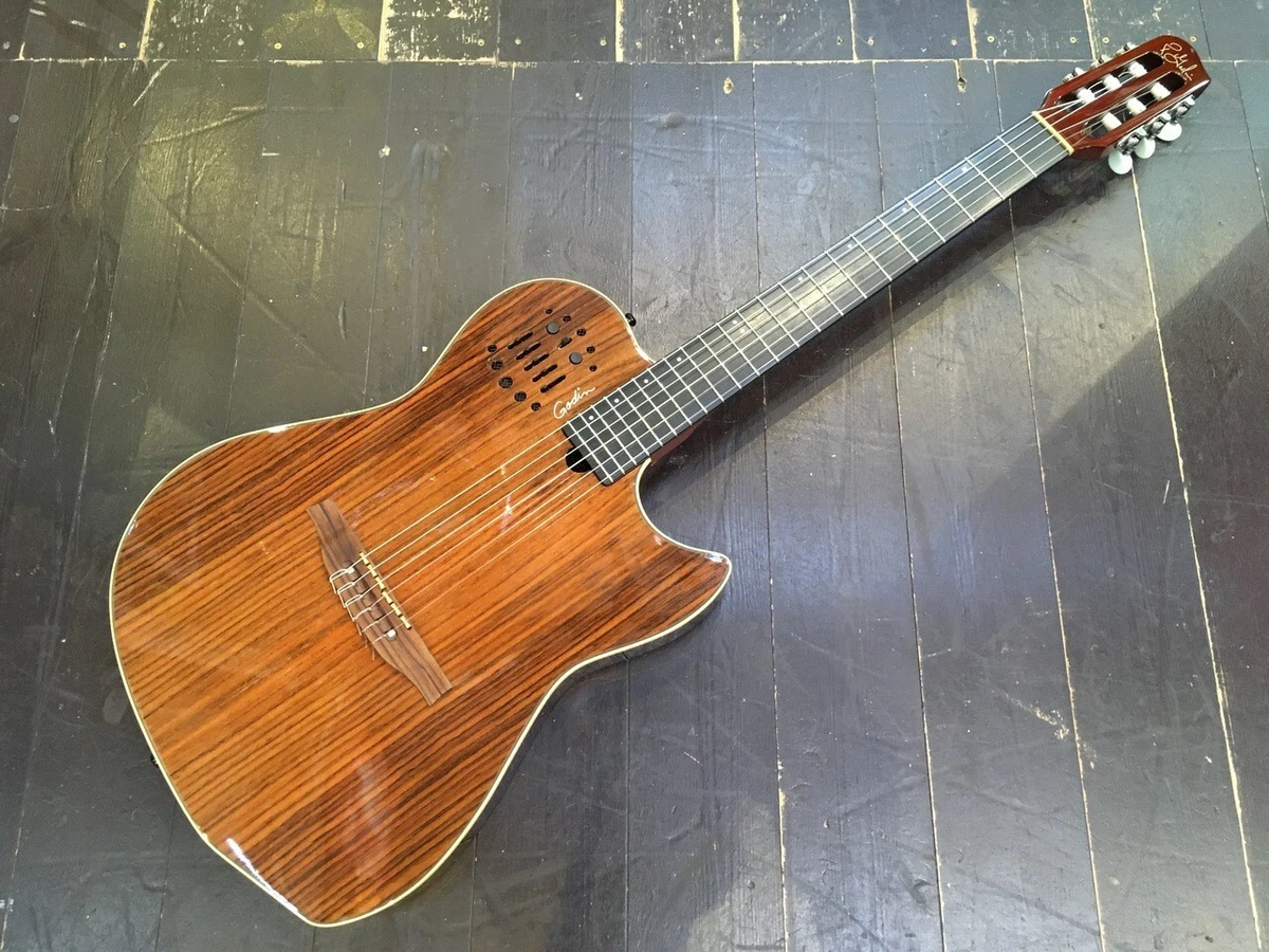 Ebay cheap godin guitars
