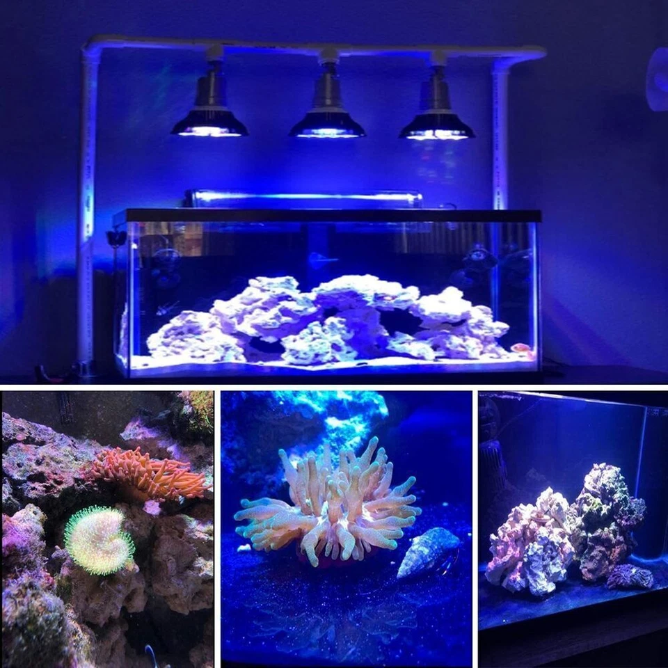 E27 LED Aquarium Spotlight Bulb Full Spectrum Fish Tank Marine Plant Lamp 12-54W - Image 3 of 4