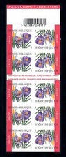 [50371] Belgium Belgien 2002 Flowers Crocus Self Adhesive Booklet MNH