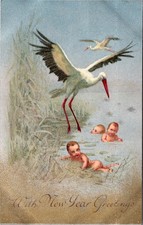 Postcard Holiday New Year Stork and babies at river