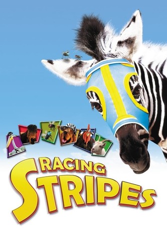 Racing Stripes (DVD, 2005, Breitbild, Frankie Muniz) **NUR DVD DISC** OHNE HÜLLE
