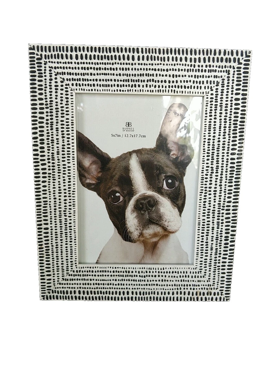 ラスト1セット〈5枚〉 ニールセン nielsen 10×12インチ シルバー Nielsen Picture Frames for sale | eBay